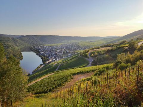 Vodatent Paradies Camp - Camping Rheinland-Pfalz