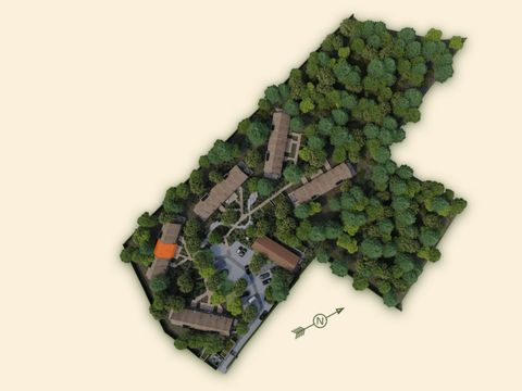 Woodz Lodges  - Camping Belgisches Limburg - Image N°5