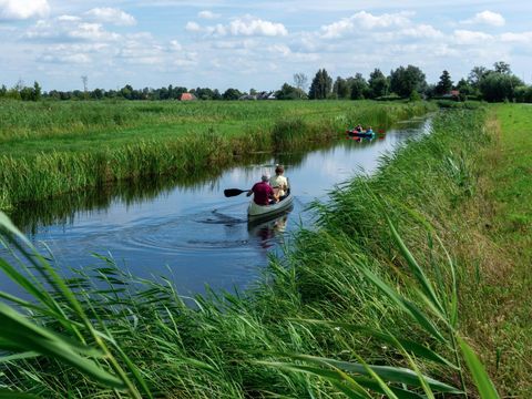 Landal de Wedderplassen - Camping Westerwolde - Image N°5