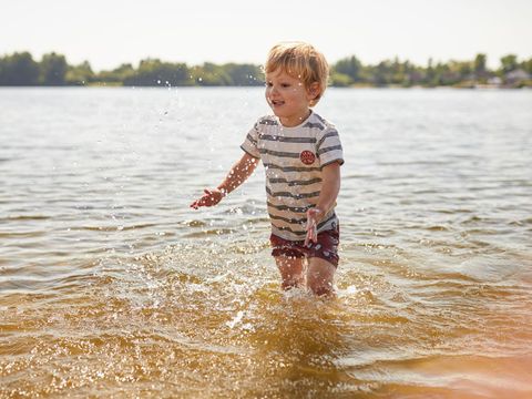 Landal de Wedderplassen - Camping Westerwolde - Image N°4