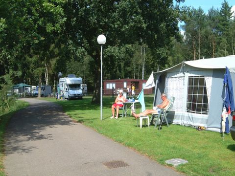 Camping Zavelbos - Camping Belgisches Limburg