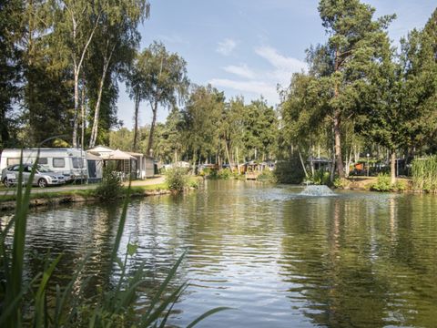 Camping Zavelbos - Camping Belgisches Limburg - Image N°0