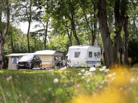 Camping de Binnenvaart - Camping Belgisches Limburg - Image N°5