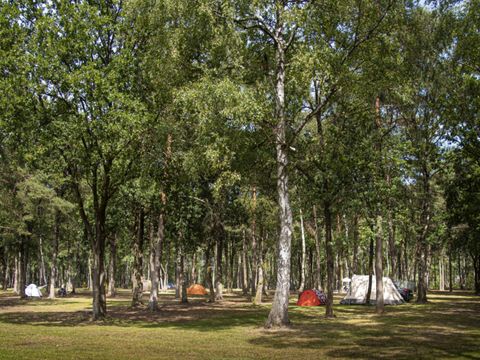 Camping de Binnenvaart - Camping Belgisches Limburg - Image N°4