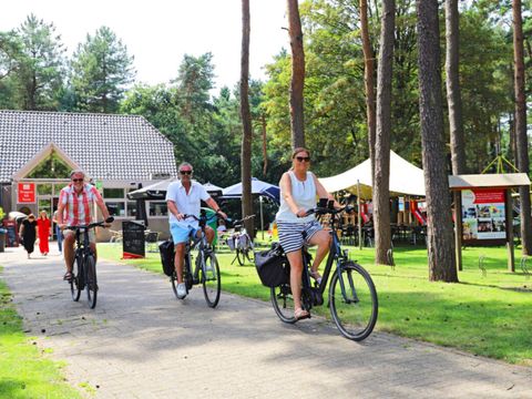 Camping Kempen - Camping Westflandern