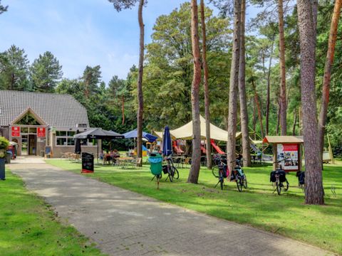 Camping Kempen - Camping Westflandern - Image N°2