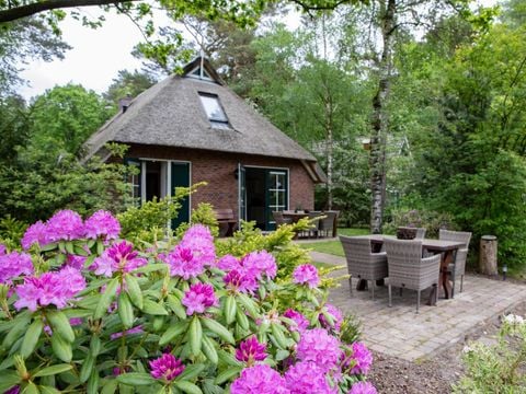 Landgoed Het Grote Zand - Camping Mitte-Drenthe - Image N°3