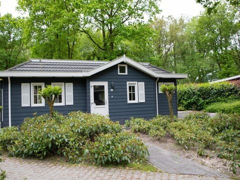 Landgoed Het Grote Zand - Camping Mitte-Drenthe - Image N°4