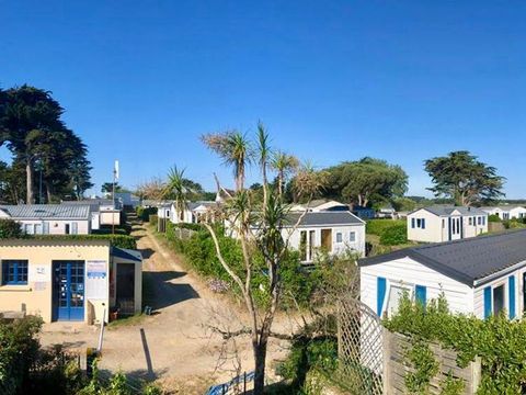 Camping Le Bois d'Amour - Camping Finistère - Image N°0