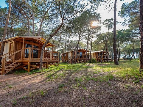 Camping La Tamarissière - Camping Hérault - Image N°3