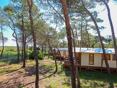 Camping La Tamarissière - Camping Hérault - Image N°4