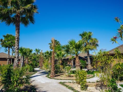 Camping Alannia Costa Blanca - Camping Alicante - Image N°0