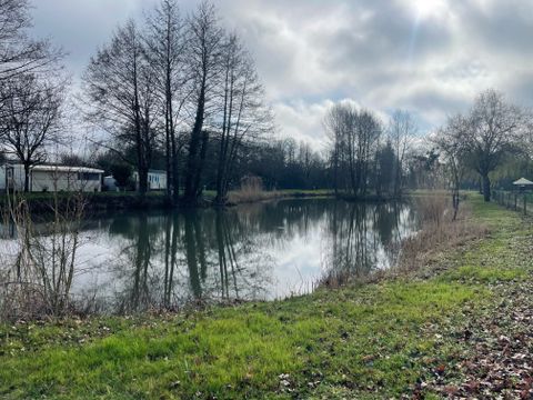 Camping Les Naïades - Camping Ardennen - Image N°4