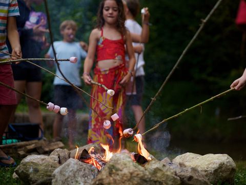 Flower Camping  l'Arize - Camping Ariège - Image N°4