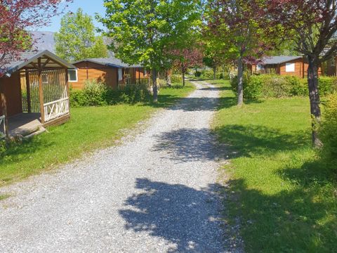 Camping La Pierre de L'Aigle  - Camping Alpes-de-Haute-Provence - Image N°4