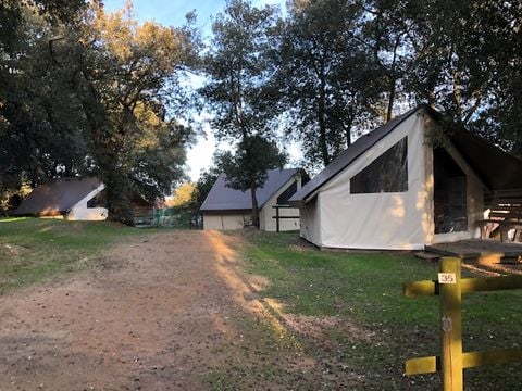 Camping Le Bosquet - Camping Vendée - Image N°4