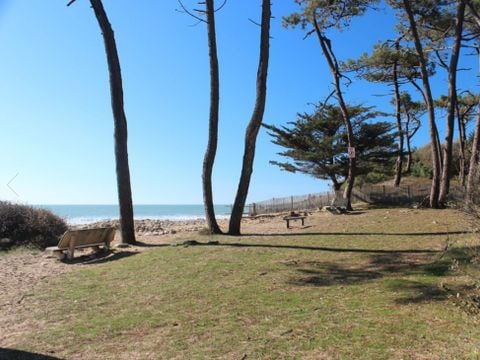 Camping Le Bosquet - Camping Vendée - Image N°5