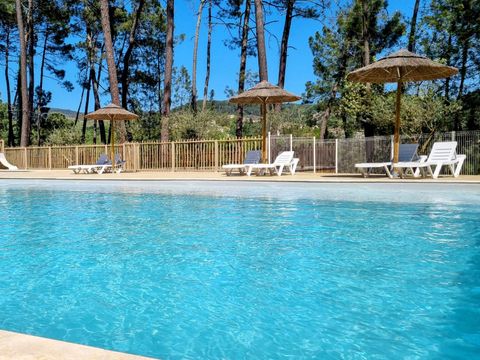 Camping Paradis - Le Bois Simonet - Camping Ardèche - Image N°5