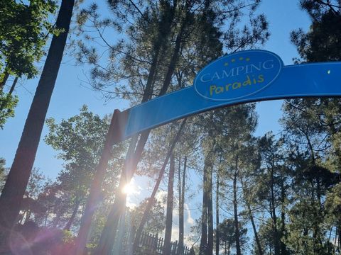 Camping Paradis - Le Bois Simonet - Camping Ardèche