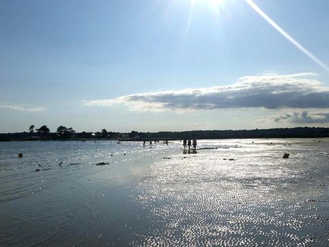 Camping du Manoir de Penn Ar Ster - Camping Finistère