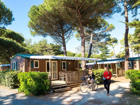 FLOWER Camping Tamarins Plage - Camping Charente-Maritime - Image N°3