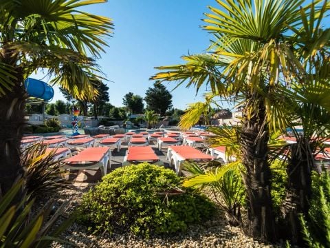 Camping Club Le Trianon - Camping Vendée - Image N°5