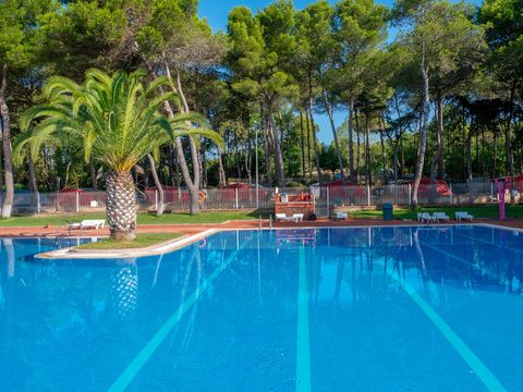 Camping Santa Elena Ciutat - Camping Girona - Image N°0