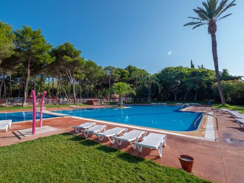 Camping Santa Elena Ciutat - Camping Girona - Image N°4