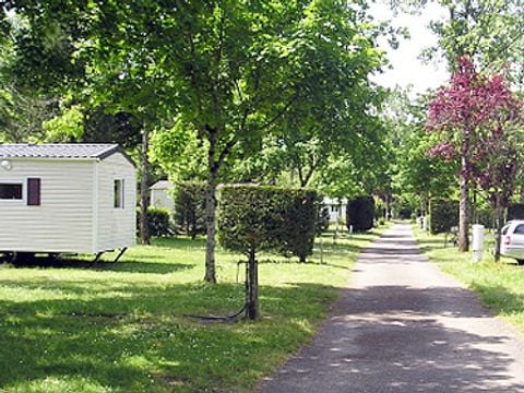 Camping Le Saulou - Camping Corrèze - Image N°4