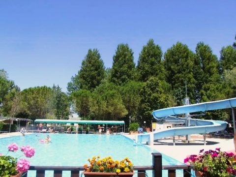 Camping Trasimeno  - Camping Perugia - Image N°3