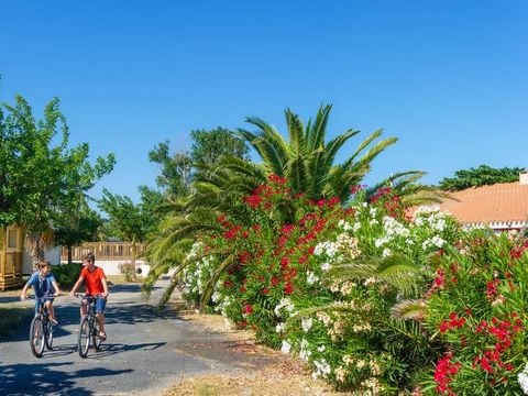 Camping Novela Port la Nouvelle - Camping Aude - Image N°3