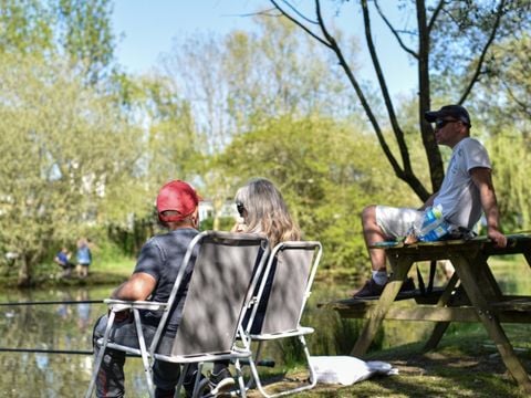 Camping Paradis - Domaine de Bellevue - Camping Vendée - Image N°2