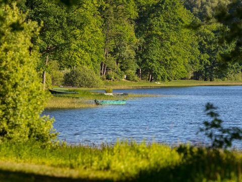 Camping les Nids du Lac - Camping Vosges - Image N°3