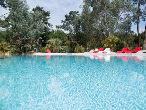  Camping des Pins - Camping Paradis - Camping Gironde