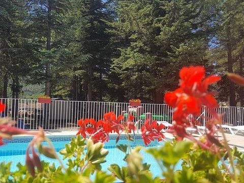 Camping La Source - Camping Pyrénées-Orientales