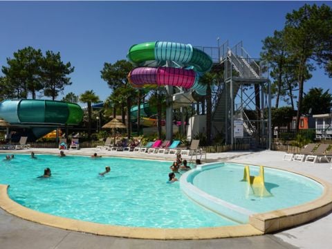 Camping Le Tropicana - Camping Vendée - Image N°4