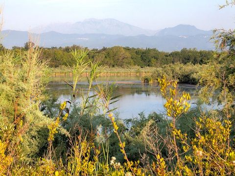 Bagheera Camping Naturiste - Camping Nordkorsika