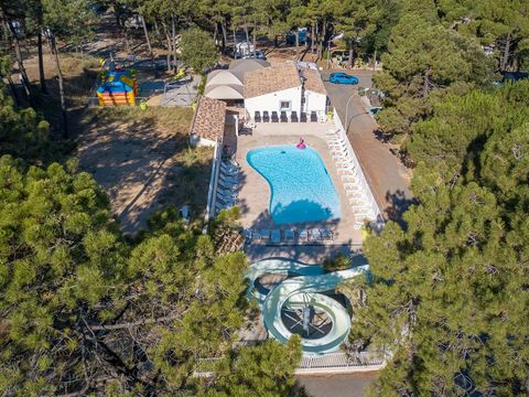 Camping La Pinède en Provence - Camping Vaucluse - Image N°0