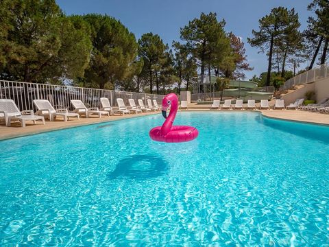 Camping La Pinède en Provence - Camping Vaucluse - Image N°3