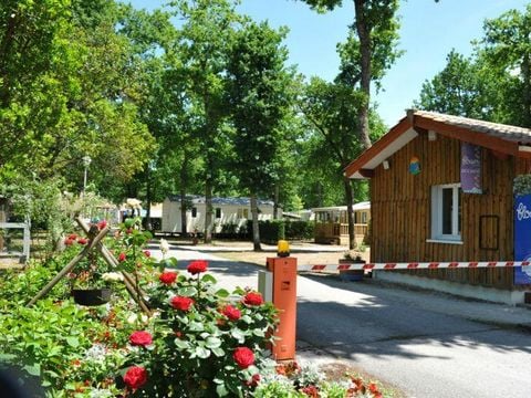 Flower Camping la Canadienne - Camping Gironde - Image N°4