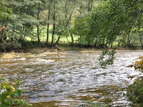 Camping Le Marchand - Camping Ardèche - Image N°2