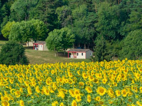 La Forêt Enchantée - Camping Dordogne - Image N°4