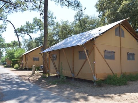 Camping Les Pins d'Oléron  - Camping Charente-Maritime - Image N°4