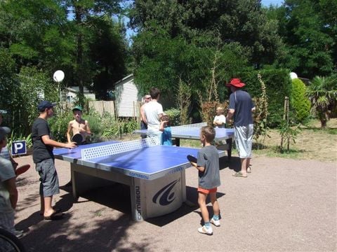 Camping Le Sous Bois - Camping Charente-Maritime - Image N°3