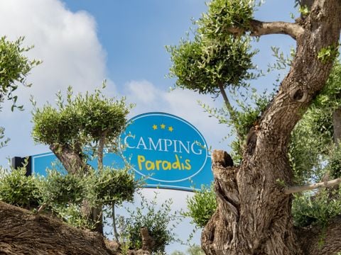 Camping L'Orangeraie - Camping Paradis - Camping Castellón - Image N°4