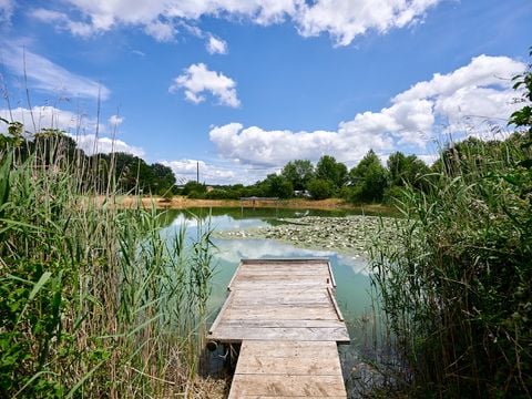 Camping Lestaubière - Camping Dordogne - Image N°2