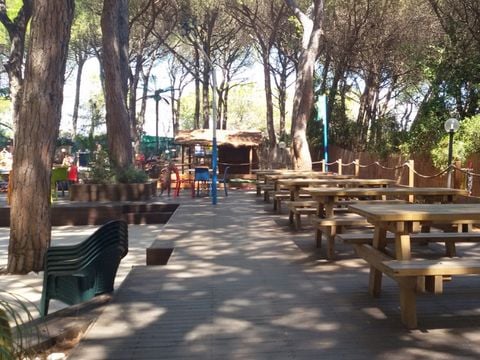 Camping Village Il Sole - Camping Grosseto - Image N°2