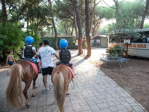 Camping Village Il Sole - Camping Grosseto - Image N°5