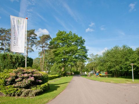 Camping de Wrange - Camping Doetinchem - Image N°3