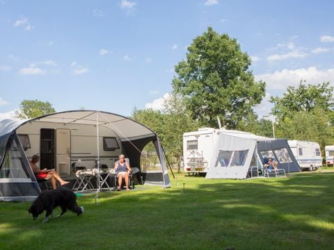 Camping de Haer - Camping Dinkelland - Image N°3